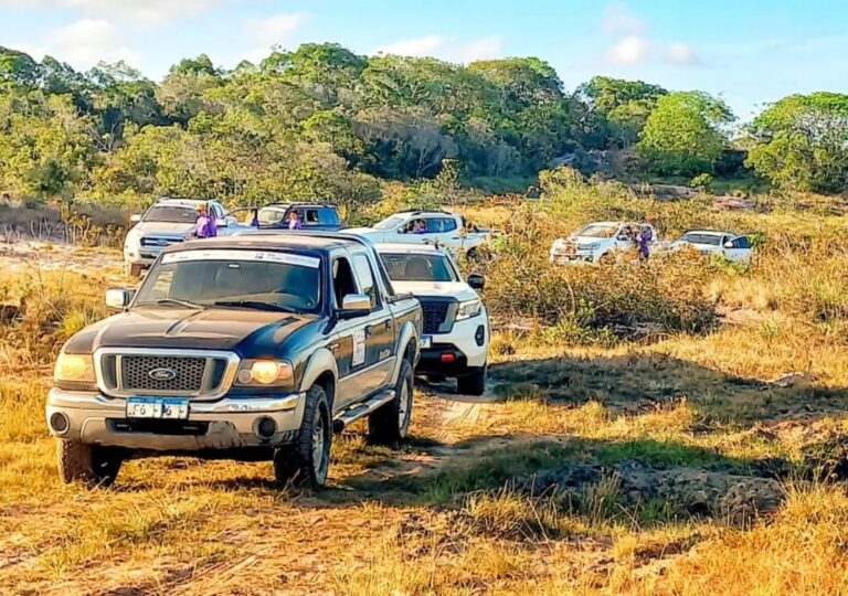 Planeta Pickup tem exposição e passeio com trilha